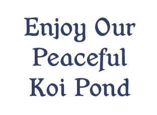 Enjoy Peaceful Koi Pond